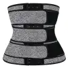 Three Layers-Breasted-Grey