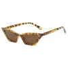 Tortoise Shell-Brown