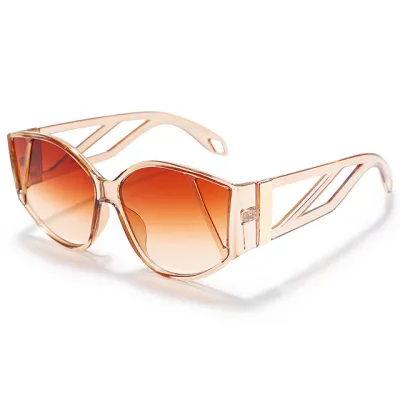 Big Frame Cat Eye Steampunk Sunglasses Resin Gorgeous Square