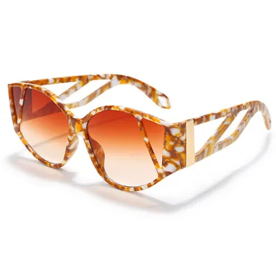 Big Frame Cat Eye Steampunk Sunglasses Resin Gorgeous Square