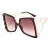 C4 Tea Color Frame/Double Tea Color
