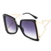 C1 Black Frame/Double Grey