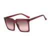 C3-Purple-Gradient Brown