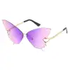 Gradient Purple Pink
