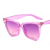 C6-Transparent Purple-Purple