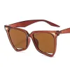 C3-Brown-Brown