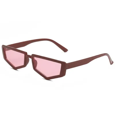 Retro Geometric Small Frame PC Sunglasses