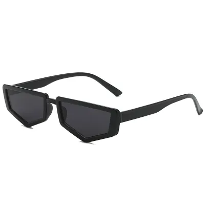 Retro Geometric Small Frame PC Sunglasses