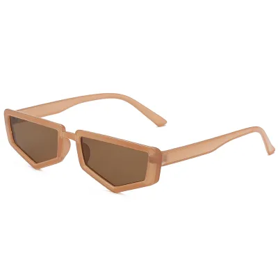 Retro Geometric Small Frame PC Sunglasses