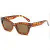 C3 Tortoiseshell-Grey