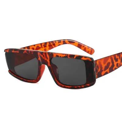 Fashion Small Frame Square Sunglasses for Adults