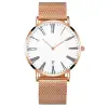 White Dial-Rose Pointer-Rose Case-Rose Strap