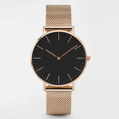Simple Two-pointer Design Alloy Mesh Band Quartz Watch