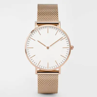 Simple Two-pointer Design Alloy Mesh Band Quartz Watch