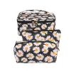 Daisy-Black