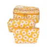 Daisy-Yellow
