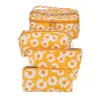 Daisy-Yellow