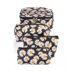Daisy-Black
