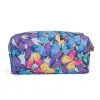 Blue  Butterfly