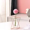 Rose Gold-Without Flowers
