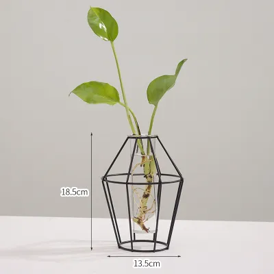 Nordic Style Simple Geometric Glass Hydroponic Ornaments