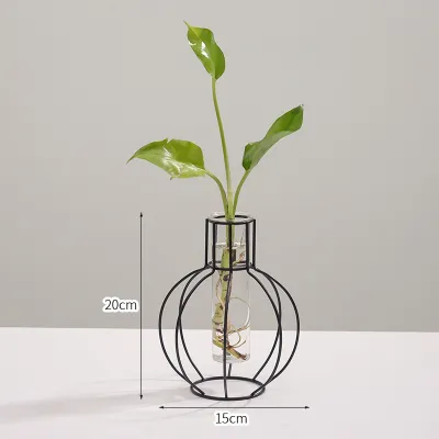 Nordic Style Simple Geometric Glass Hydroponic Ornaments