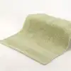 Salix Leaf Green