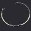 Sagittarius-Silver