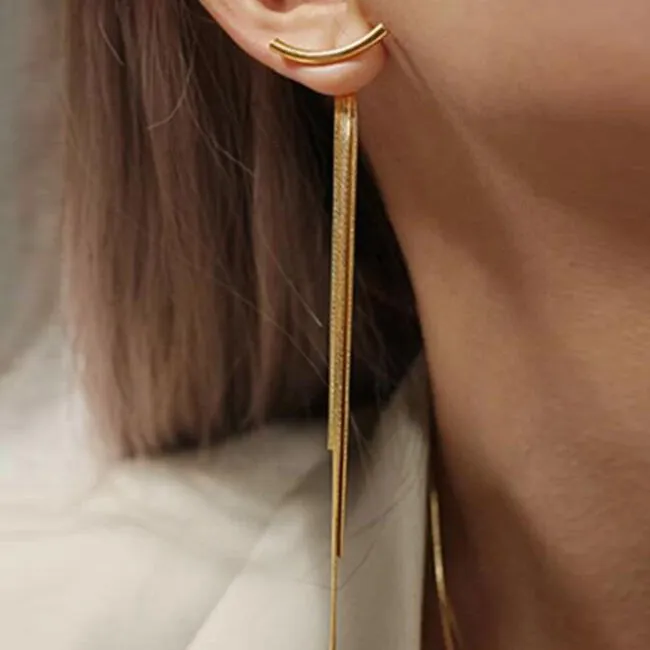 Creative Snake Bone Long Paragraph Tassel Earrings