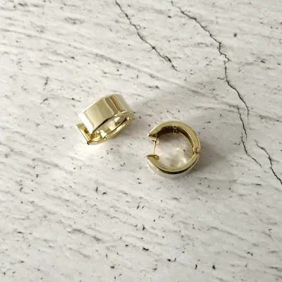 Fashion Minimalist Metal Hoop Earrings Women's Geometric