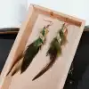 Peacock Green-1#