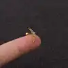 1# Gold