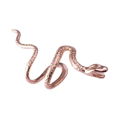 Women Unique Snake Shaped Design Ear Clip Copper Unisex