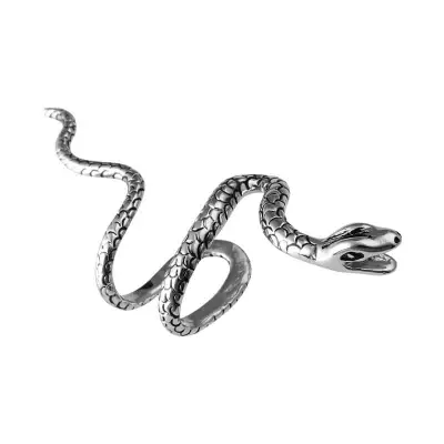 Women Unique Snake Shaped Design Ear Clip Copper Unisex