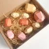 10pcs/set Colorful