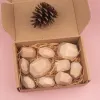 Burlywood 10pcs/set