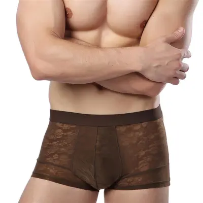 Men Sexy Ice Silk Breathable Hollow Out Boxer Underwear L-3XL