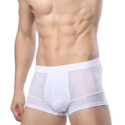 Men Sexy Ice Silk Breathable Hollow Out Boxer Underwear L-3XL