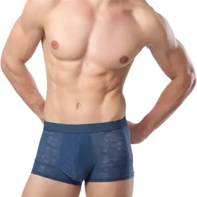 Men Sexy Ice Silk Breathable Hollow Out Boxer Underwear L-3XL