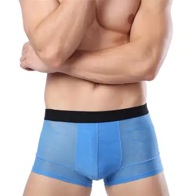 Men Sexy Ice Silk Breathable Hollow Out Boxer Underwear L-3XL
