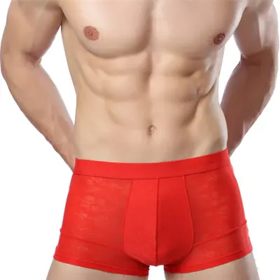 Men Sexy Ice Silk Breathable Hollow Out Boxer Underwear L-3XL