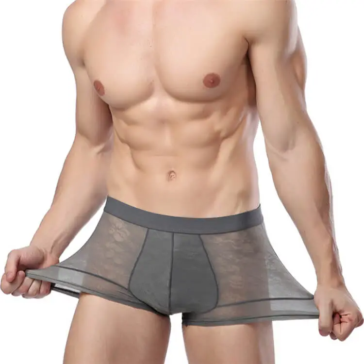 Men Sexy Ice Silk Breathable Hollow Out Boxer Underwear L-3XL