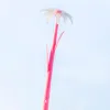 Daisy Pink