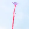 Morning Glory Pink
