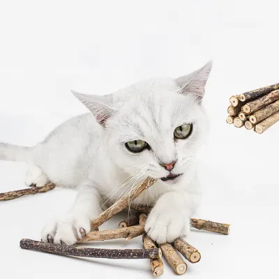 5pcs/set Natural Catnip Pet Cat Molar Toothpaste Stick for Dental Care