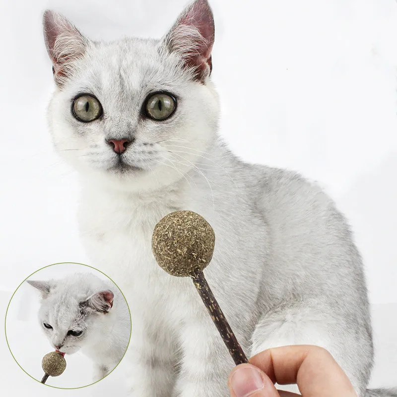 Natural Lollipop Shape Molar Teeth Cat Toy