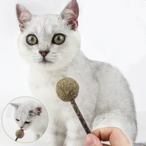 Natural Lollipop Shape Molar Teeth Cat Toy