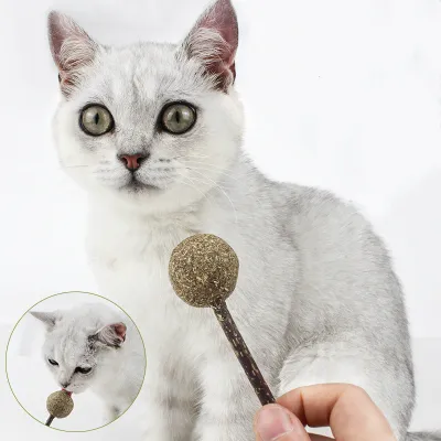 Natural Lollipop Shape Molar Teeth Cat Toy