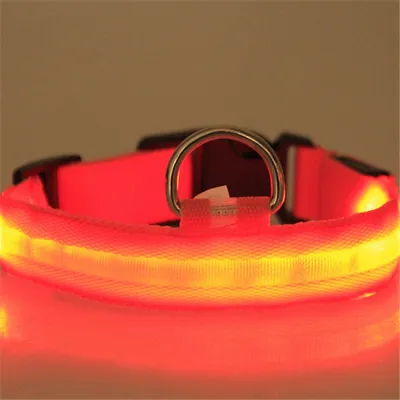 USB Charging LED Dog Collar Polyester Monochrome Leisure Universal Fit Pet Products