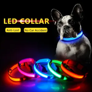 USB Charging LED Dog Collar Polyester Monochrome Leisure Universal Fit Pet Products